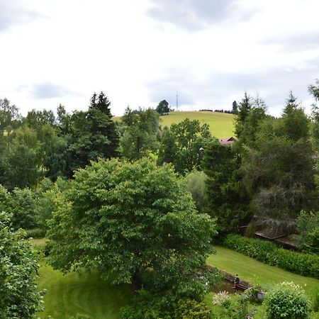Horsky Apartman Pod Zelenou Strechou Bartosovice v Orlickych Horach Екстер'єр фото