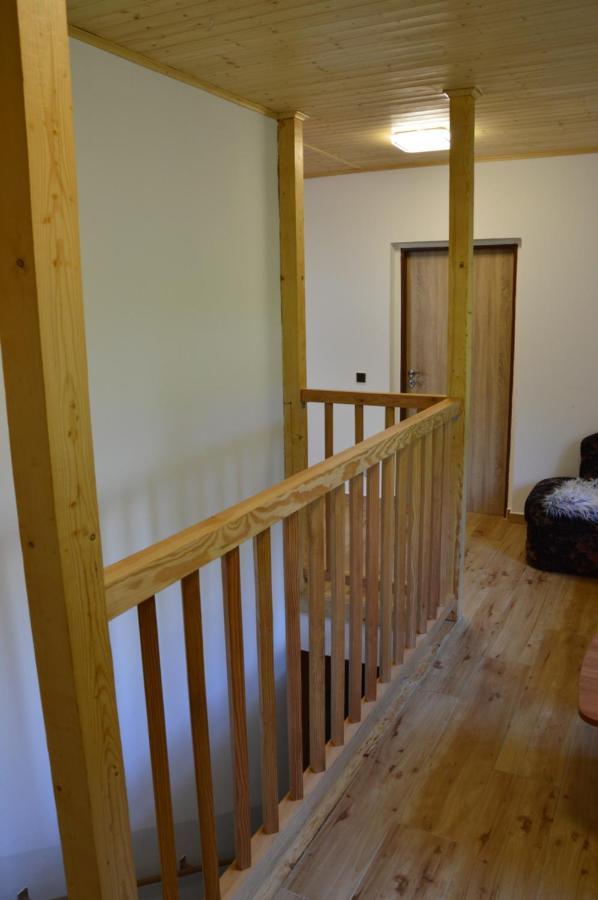 Horsky Apartman Pod Zelenou Strechou Bartosovice v Orlickych Horach Екстер'єр фото