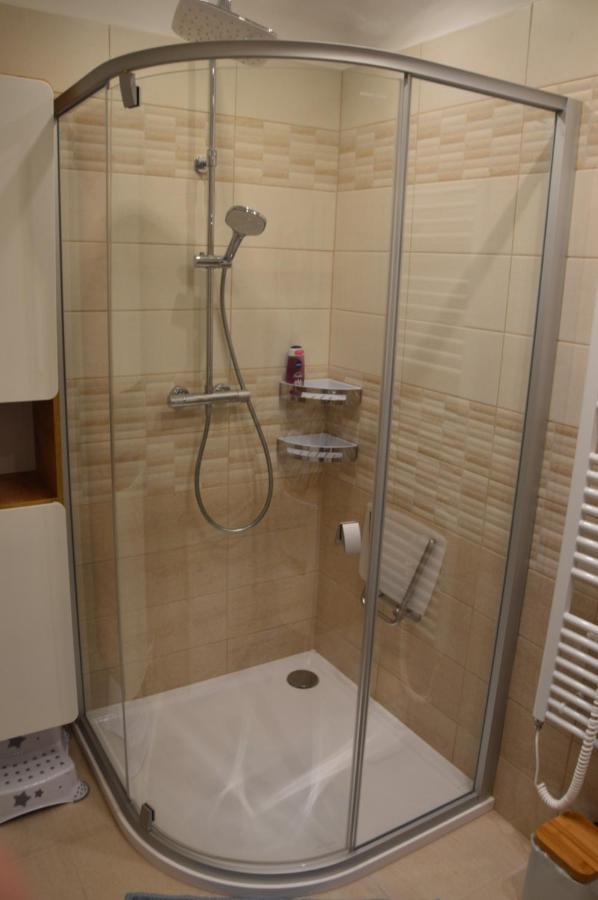 Horsky Apartman Pod Zelenou Strechou Bartosovice v Orlickych Horach Екстер'єр фото